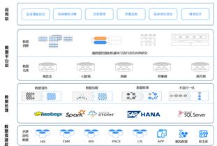 臨床大數(shù)據(jù)的醫(yī)院級數(shù)據(jù)處理 應用基石與變現(xiàn)前奏
